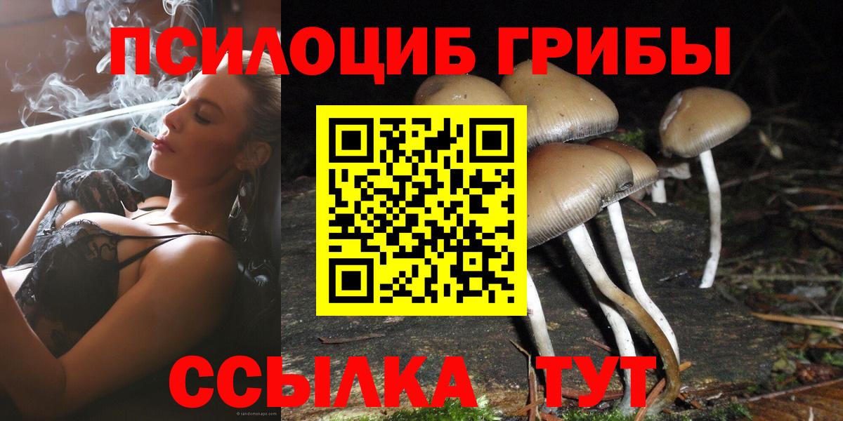 Галлюциногенные грибы Psilocybe Верхний Уфалей