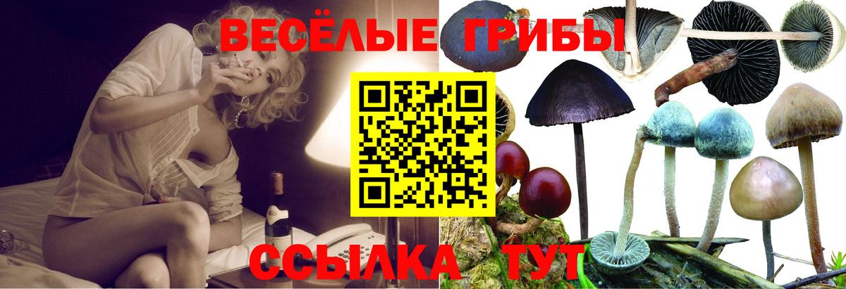 Галлюциногенные грибы MAGIC MUSHROOMS Верхний Уфалей